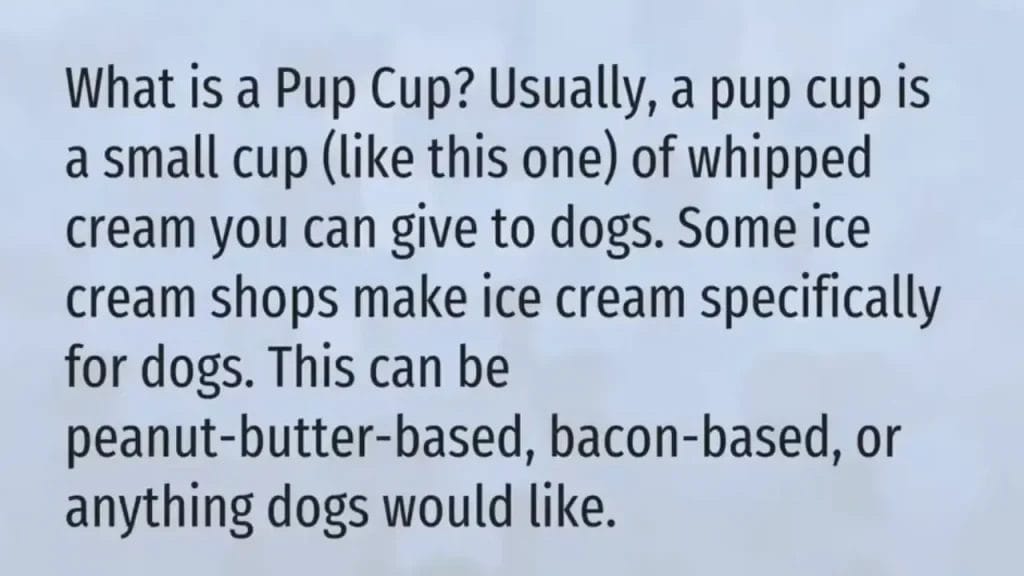 What is a pup cup